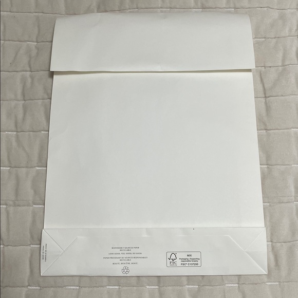 Aritzia Shopping and Packaging Bags Bundle - Picture 3 of 11